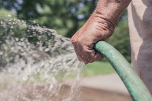 man watering